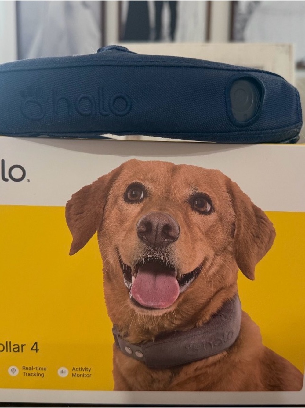 Halo Dog GPS Collar in Navy